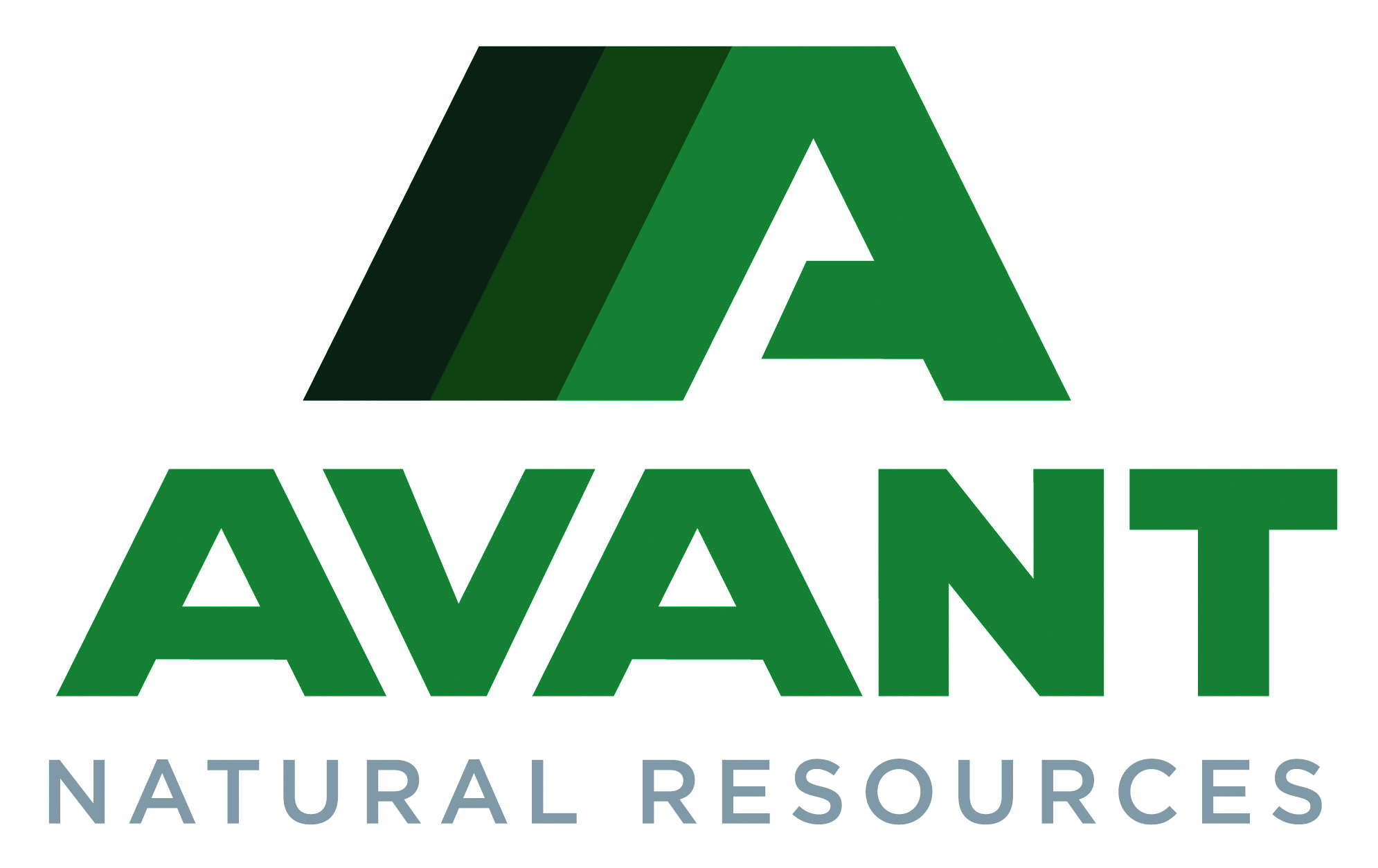 ANR_LOGOS